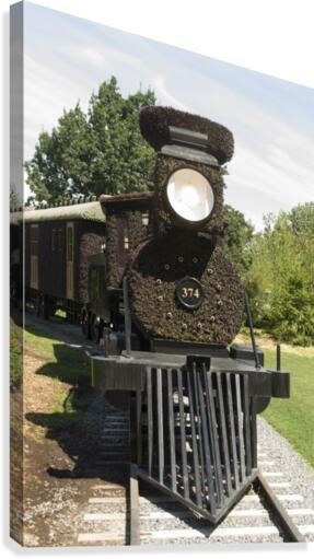 CPR Steam Engine 374 Canvas Print