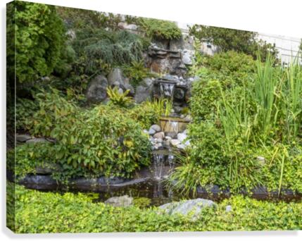 IMGP4925 Canvas Print