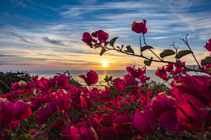 Boug Sunset3