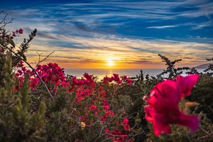 Boug Sunset4