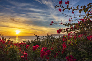 Boug sunset2