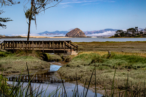 Elfin Bridge