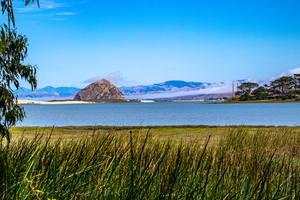 Estuary Rock