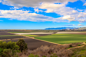 Farming Ocean