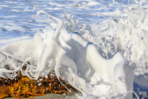 Froth