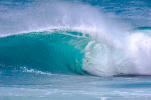 Hawaiian Barrel