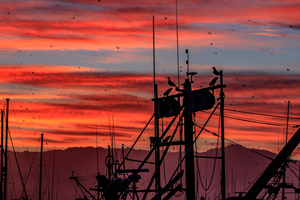 Mast Sunrise