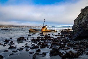 Reef Wreckage