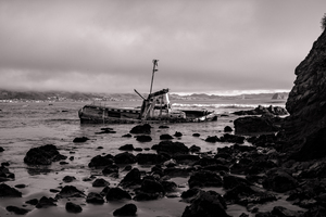 Reef WreckageB W