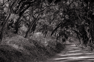 Road to Nowhere