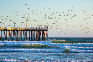 Seabird Pier
