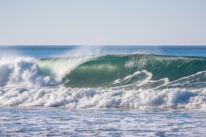 Sunny barrel