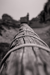 wrapped log