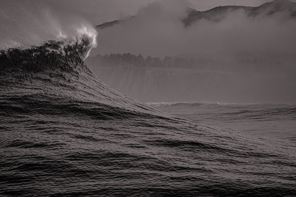 B W Mavs Print