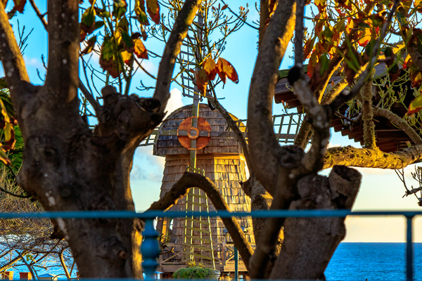 Beach Windmill Print