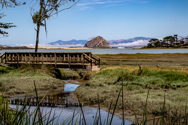Elfin Bridge Print