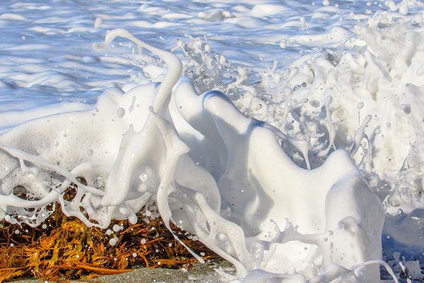 Froth Print