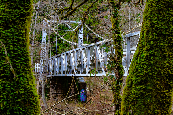 Hidden Bridge Print
