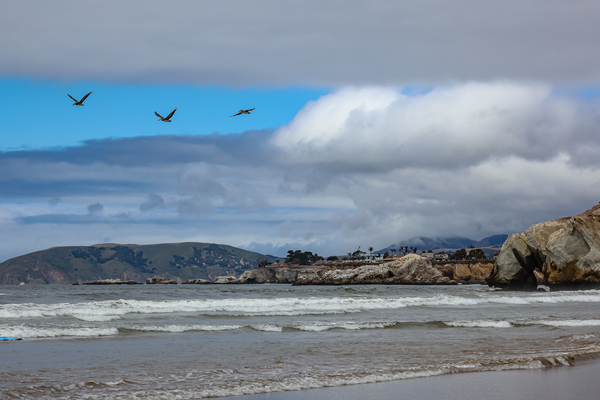 Pelican Cliffs Print