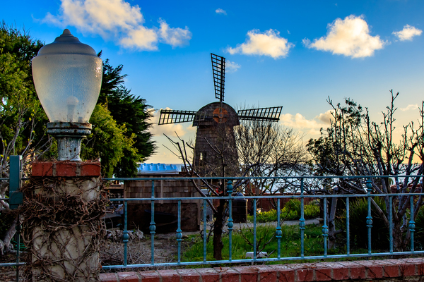 Shell Windmill Print