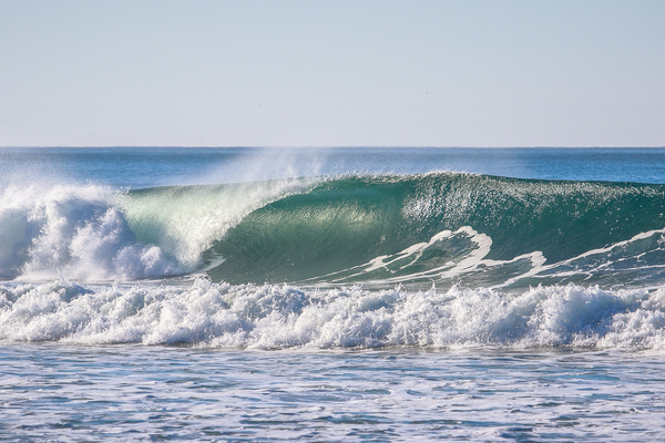 Sunny barrel Print