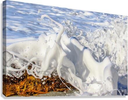 Froth Canvas Print
