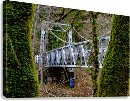 Hidden Bridge Canvas Print