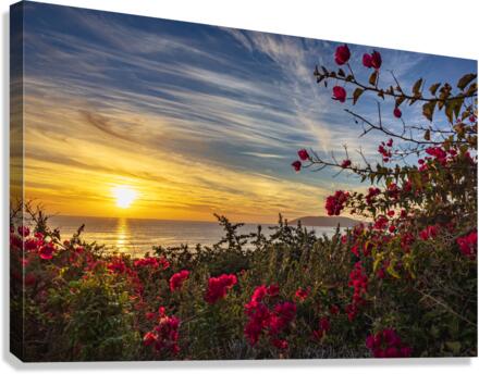 Boug sunset2 Canvas Print