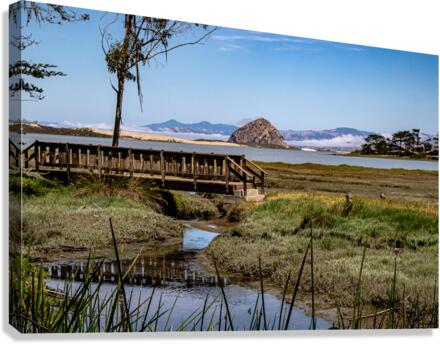 Elfin Bridge Canvas Print