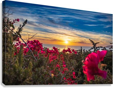 Boug Sunset4 Canvas Print