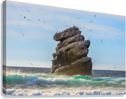 Bird Rock Canvas Print