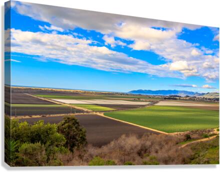 Farming Ocean Canvas Print