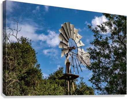 Got Water Canvas Print