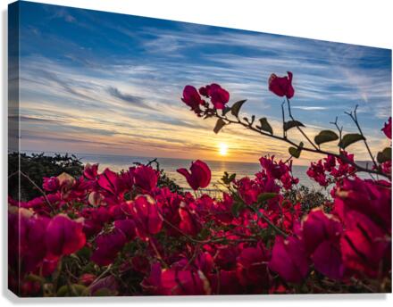 Boug Sunset3 Canvas Print