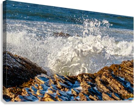 Reef Foam Canvas Print