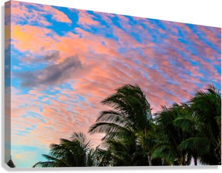 Palm Sunset Canvas Print