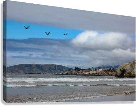 Pelican Cliffs Canvas Print