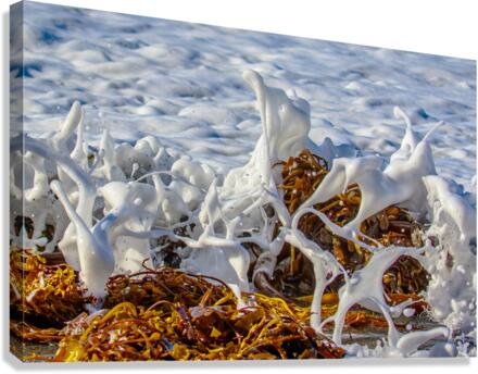 Seafoam Canvas Print