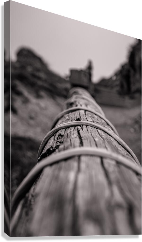 wrapped log Canvas Print