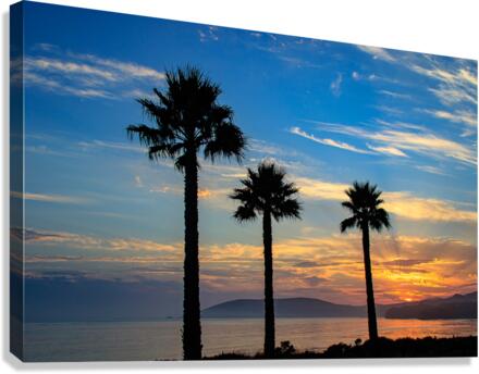 Tree Amigos Canvas Print