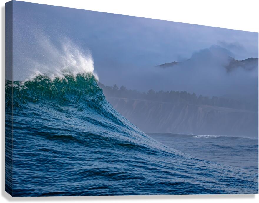 The Wall Canvas Print