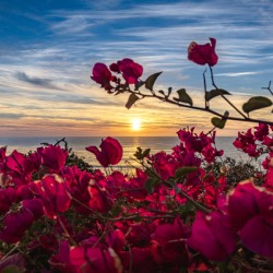 Boug Sunset3