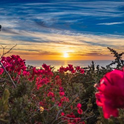 Boug Sunset4