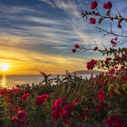 Boug sunset2
