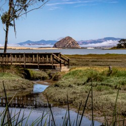 Elfin Bridge