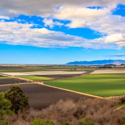 Farming Ocean