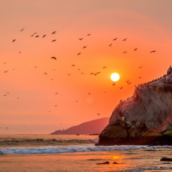 Fire Sunset