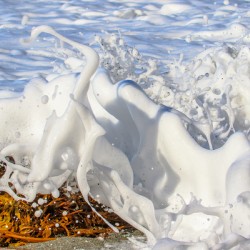Froth