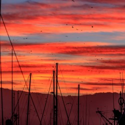 Harbor Sunrise