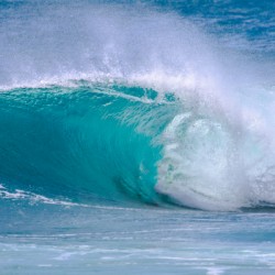 Hawaiian Barrel